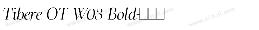 Tibere OT W03 Bold字体转换